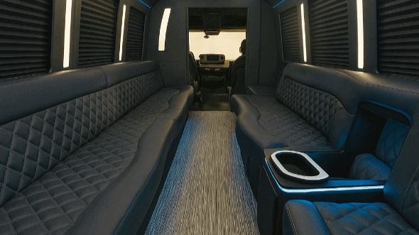 minneapolis 20 passenger party bus