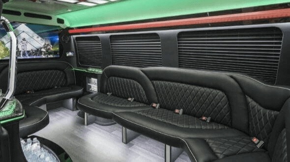 st paul 14 passenger sprinter limousine inside