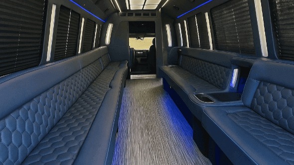 st paul 30 passenger party bus rental